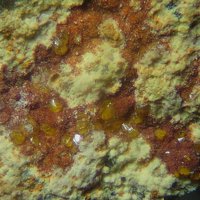 Jarosite