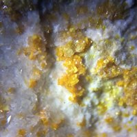 Carnotite