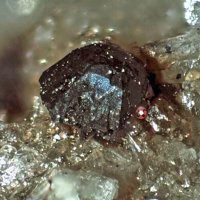 Rambergite