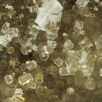 Caracolite
