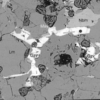 Gazeevite, Larnite, Nabimusaite