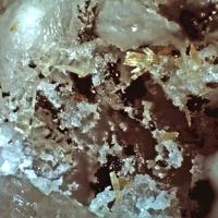 Calcioferrite, Paravauxite, Rockbridgeite