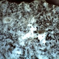 Jasmundite, Ternesite
