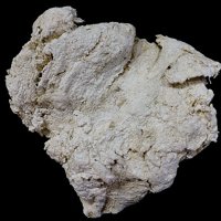 Palygorskite