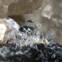 Capranicaite