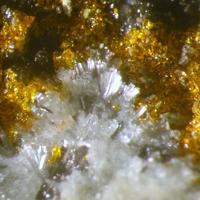 Calciodelrioite, Rossite