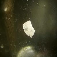 Calciborite