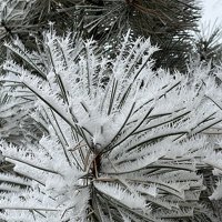 Ice
