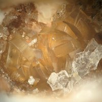 Quintinite-3T