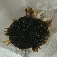 Rankachite