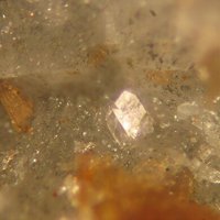 Iimoriite-(Y)