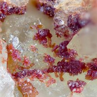 Carminite