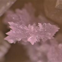 Calcioancylite-(Ce)