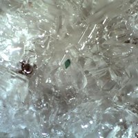 Salesite, Gypsum