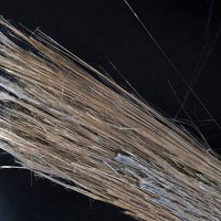 Carlosturanite