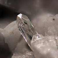 Dalyite