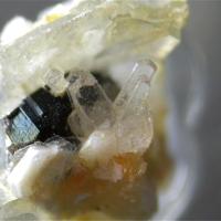 Capranicaite