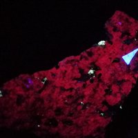 Dalyite