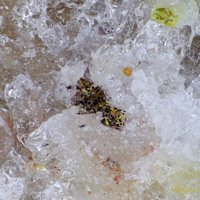 Gartrellite, Carminite