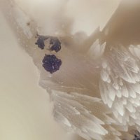 Sailaufite, Calcite