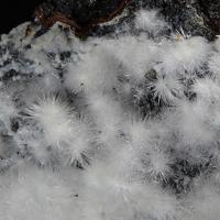 Canavesite