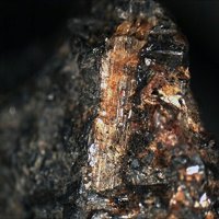 Samuelsonite