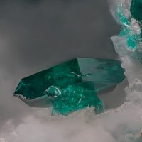 Lammerite