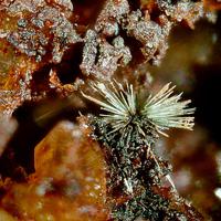 Agardite-(La)