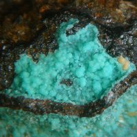 Carrboydite