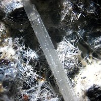 Kaliophilite