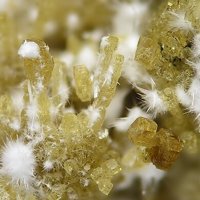 Åkermanite, Ettringite Group