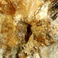 Macedonite