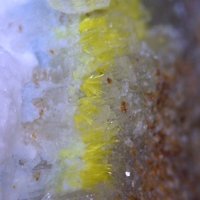 Oswaldpeetersite