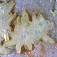 Abernathyite, Heinrichite