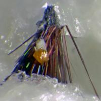 Aenigmatite, Fluornatropyrochlore, Zircon