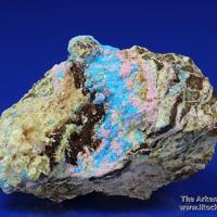 Canutite, Magnesiokoritnigite, Lavendulan