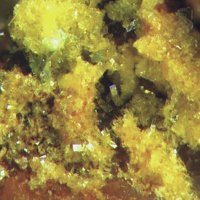 Upalite