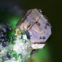 Nabokoite, Tenorite