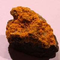 Rakovanite