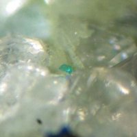 Sabelliite
