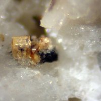 Dalyite