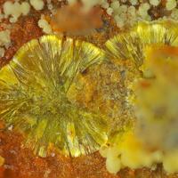 Calcurmolite