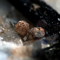 Dalyite