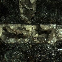 Umbite