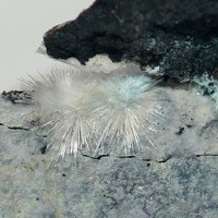 Rapidcreekite