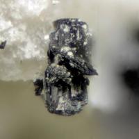 Barbosalite, Carbonate-rich Fluorapatite