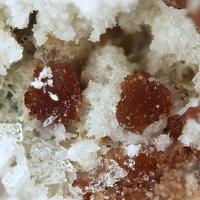 Canutite