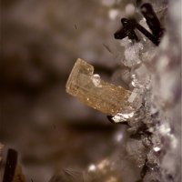 Labuntsovite-Mn
