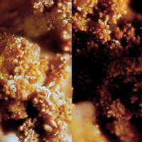Gasparite-(Ce)
