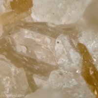 Cayalsite-(Y)-1O, Yttrofluorite